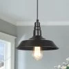 LNC Rustic Brushed Pendant - Black Hot Sale