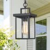 Lighting LNC Outdoor Pendant Lantern, Black